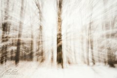 Ln104572902-Winterwald im Schnee abstrakt